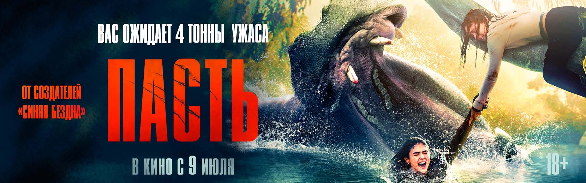 Слайд 5