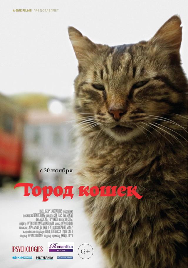Город кошек (6+)